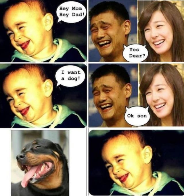 Bildschirmarbeiter - Picdump 11.04.2014