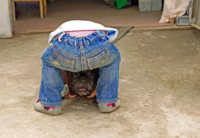 Bildschirmarbeiter - Picdump 11.04.2014