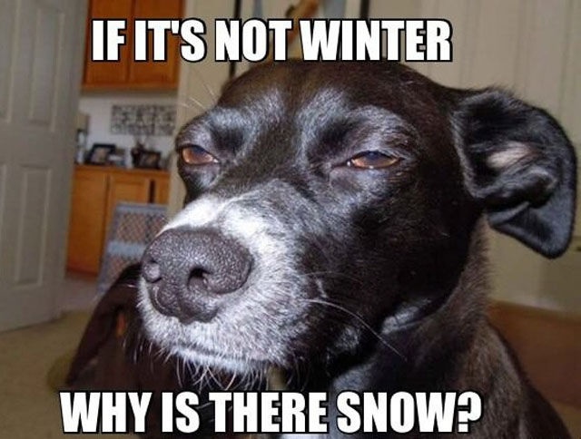 Bildschirmarbeiter - Picdump 11.04.2014