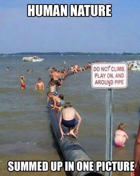 Bildschirmarbeiter - Picdump 11.04.2014