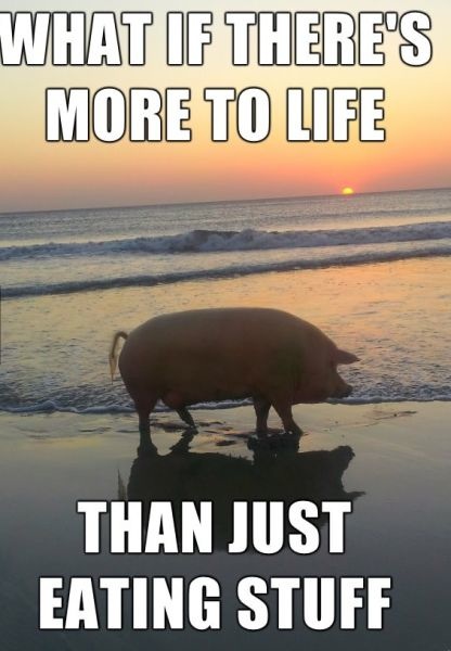 Bildschirmarbeiter - Picdump 11.04.2014