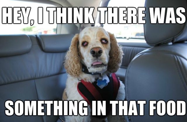 Bildschirmarbeiter - Picdump 11.04.2014