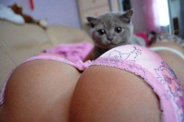 Bildschirmarbeiter - Picdump 11.04.2014