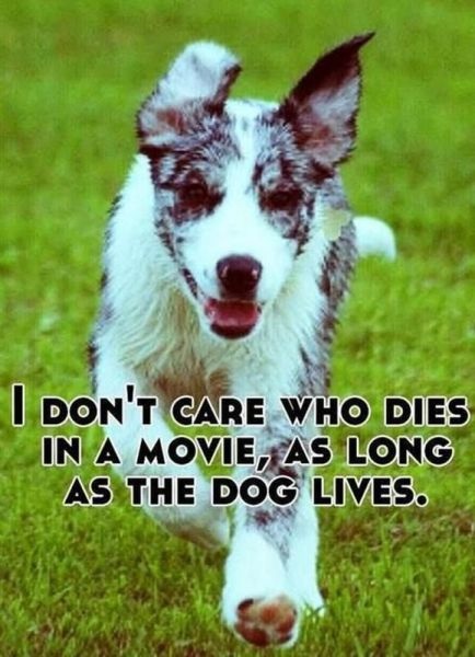 Bildschirmarbeiter - Picdump 11.04.2014