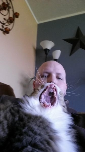 Bildschirmarbeiter - Picdump 18.04.2014