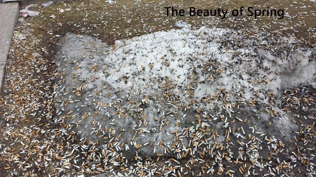 Bildschirmarbeiter - Picdump 18.04.2014