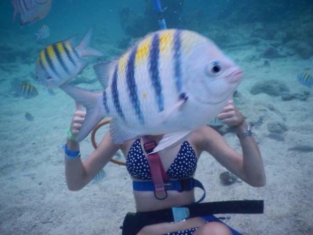 Bildschirmarbeiter - Picdump 18.04.2014