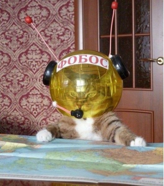 Bildschirmarbeiter - Picdump 18.04.2014