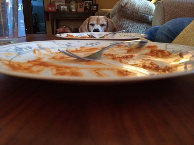 Bildschirmarbeiter - Picdump 18.04.2014