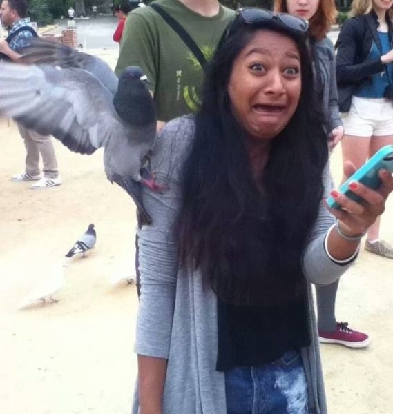 Bildschirmarbeiter - Picdump 18.04.2014