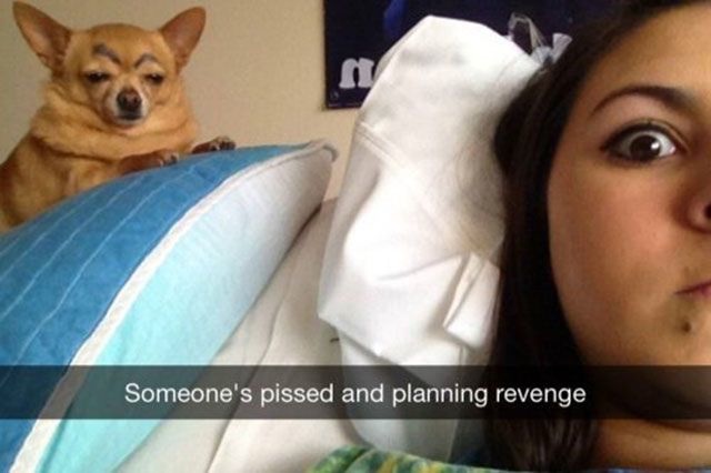 Bildschirmarbeiter - Picdump 18.04.2014