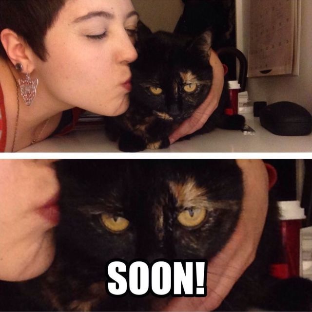 Bildschirmarbeiter - Picdump 18.04.2014