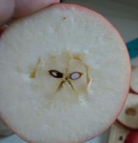 Bildschirmarbeiter - Picdump 18.04.2014