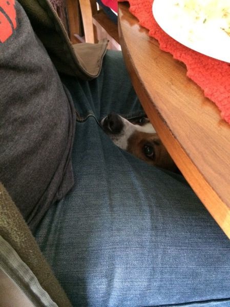 Bildschirmarbeiter - Picdump 18.04.2014