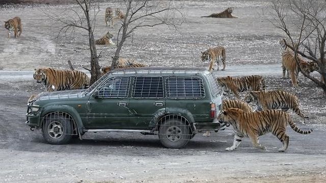 Bildschirmarbeiter - Picdump 18.04.2014