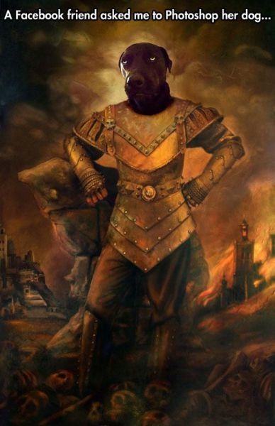 Bildschirmarbeiter - Picdump 18.04.2014