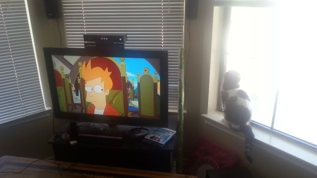 Bildschirmarbeiter - Picdump 18.04.2014