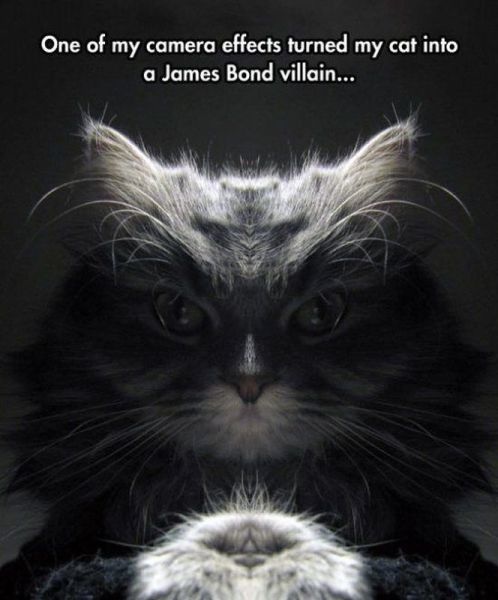 Bildschirmarbeiter - Picdump 25.04.2014