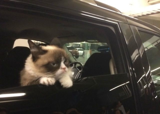 Bildschirmarbeiter - Picdump 25.04.2014