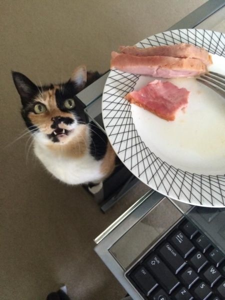 Bildschirmarbeiter - Picdump 25.04.2014