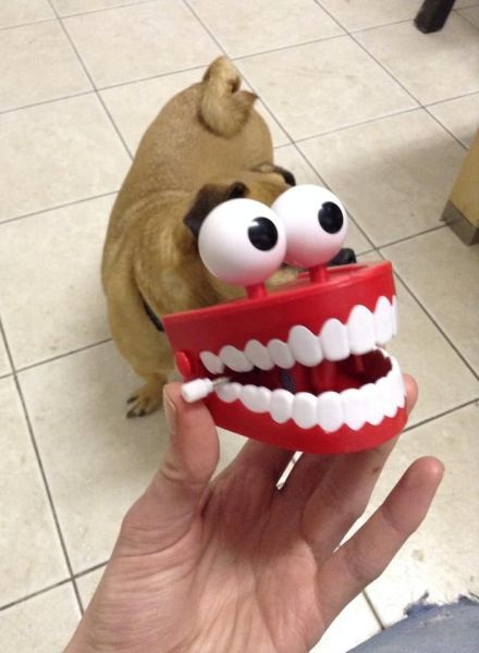 Bildschirmarbeiter - Picdump 25.04.2014