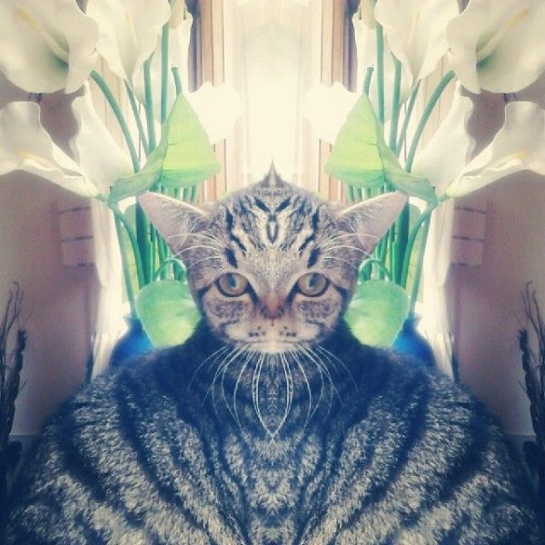 Bildschirmarbeiter - Picdump 25.04.2014