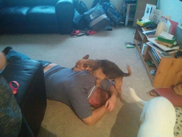 Bildschirmarbeiter - Picdump 25.04.2014