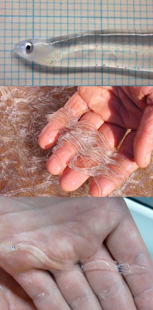 Bildschirmarbeiter - Picdump 25.04.2014