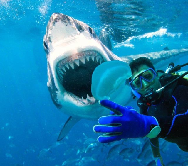 Bildschirmarbeiter - Picdump 25.04.2014