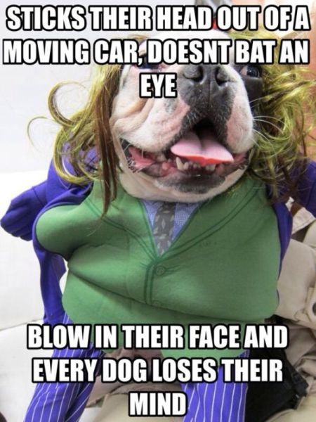 Bildschirmarbeiter - Picdump 25.04.2014