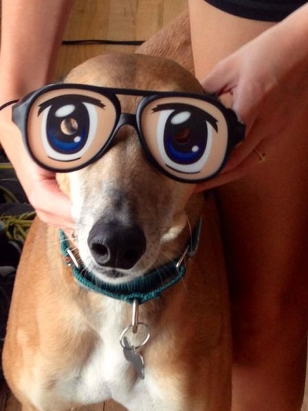 Bildschirmarbeiter - Picdump 25.04.2014