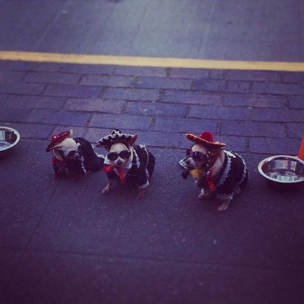 Bildschirmarbeiter - Picdump 25.04.2014