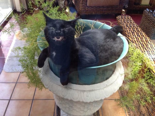 Bildschirmarbeiter - Picdump 25.04.2014