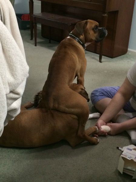 Bildschirmarbeiter - Picdump 25.04.2014