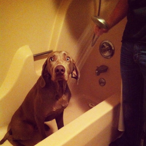 Bildschirmarbeiter - Picdump 25.04.2014