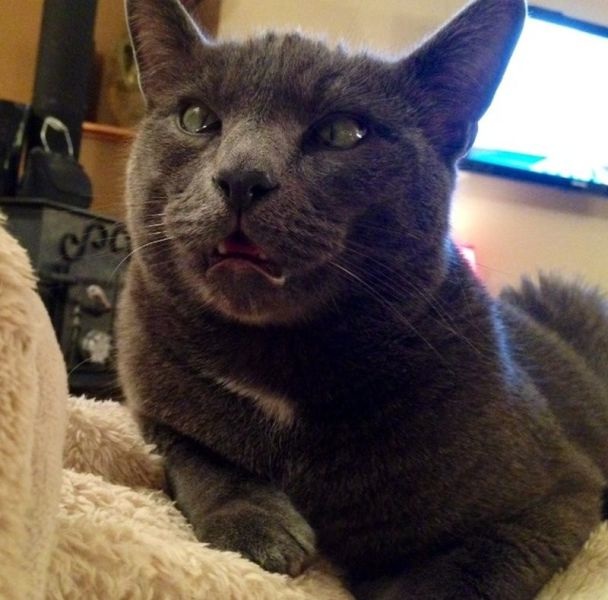 Bildschirmarbeiter - Picdump 25.04.2014