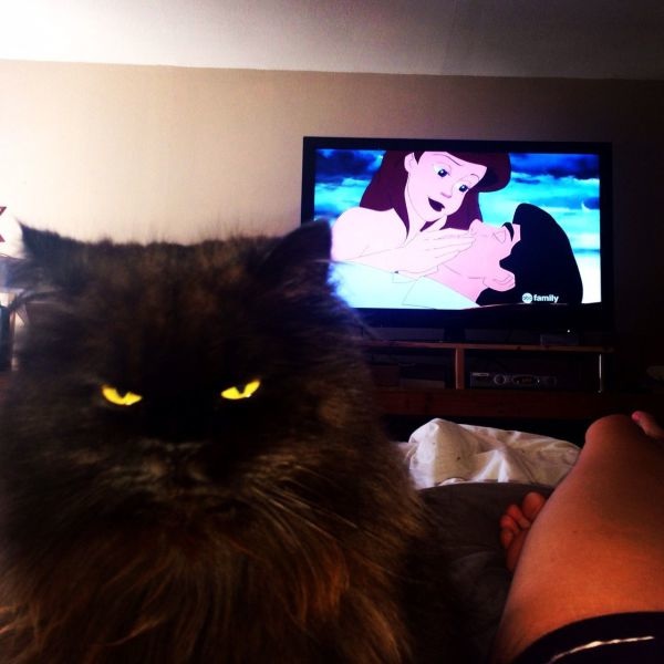 Bildschirmarbeiter - Picdump 25.04.2014