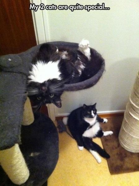 Bildschirmarbeiter - Picdump 25.04.2014