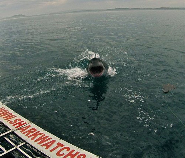 Bildschirmarbeiter - Picdump 25.04.2014