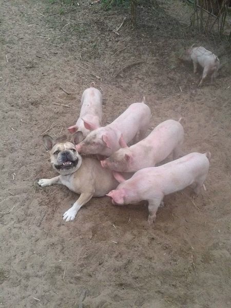 Bildschirmarbeiter - Picdump 02.05.2014