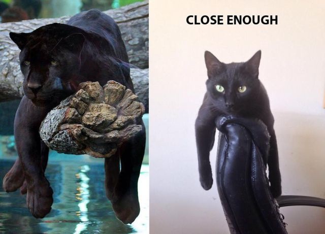 Bildschirmarbeiter - Picdump 02.05.2014