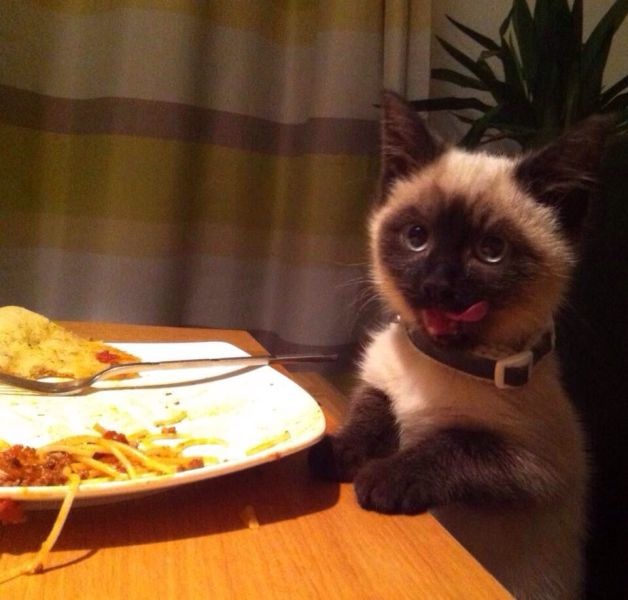 Bildschirmarbeiter - Picdump 02.05.2014