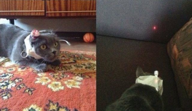 Bildschirmarbeiter - Picdump 02.05.2014