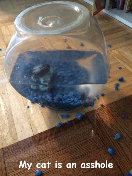 Bildschirmarbeiter - Picdump 02.05.2014