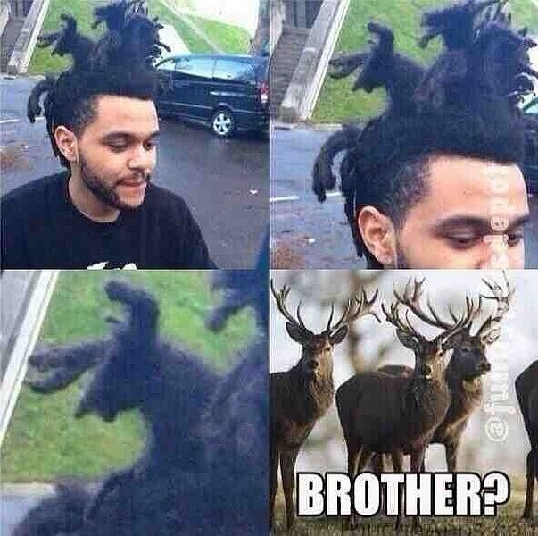 Bildschirmarbeiter - Picdump 02.05.2014