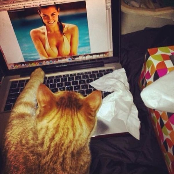 Bildschirmarbeiter - Picdump 02.05.2014