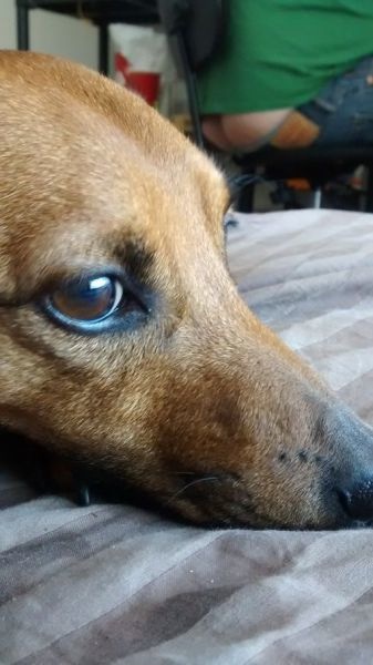 Bildschirmarbeiter - Picdump 02.05.2014