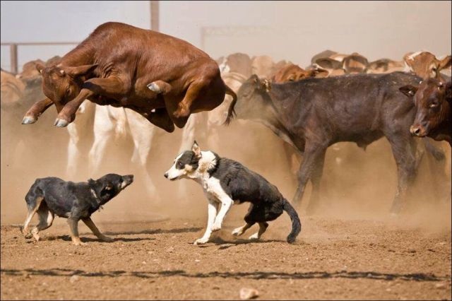 Bildschirmarbeiter - Picdump 02.05.2014