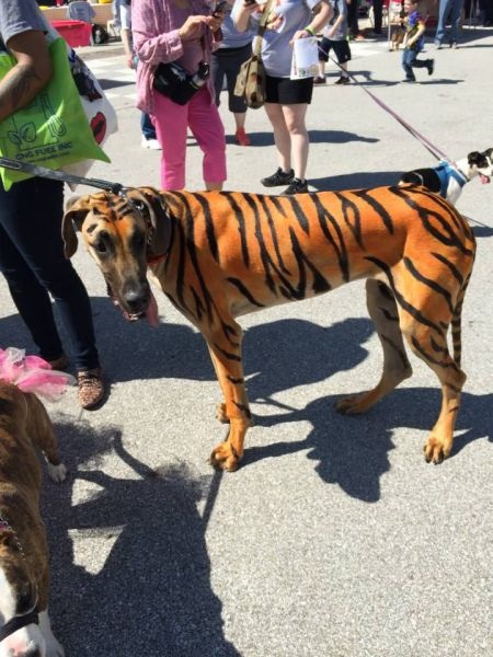 Bildschirmarbeiter - Picdump 02.05.2014