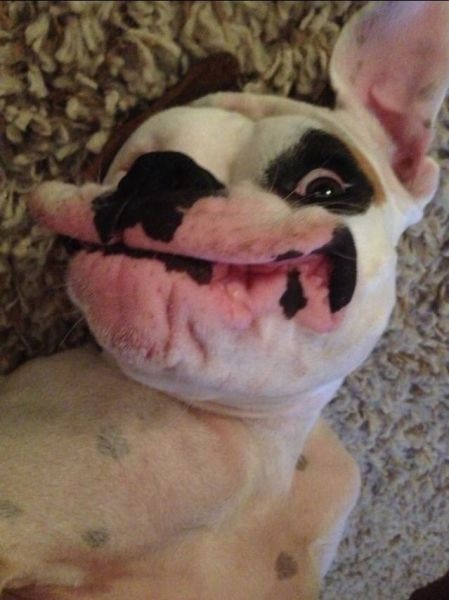 Bildschirmarbeiter - Picdump 02.05.2014